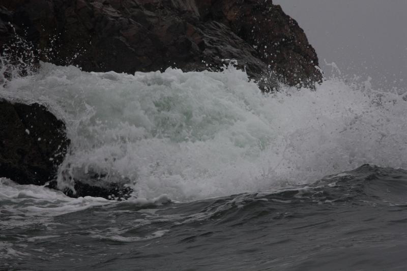 1156-Isole Ballestas,19 luglio 2013.JPG